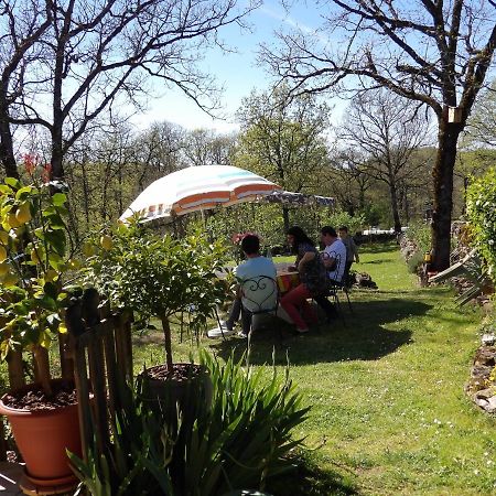 Aux Deux Colombes Bed & Breakfast Падирак Екстериор снимка